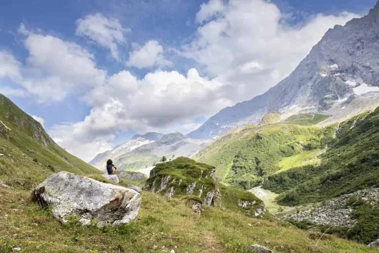 Alpages savoyards en été